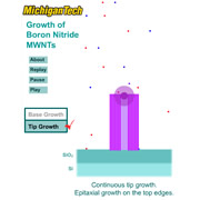 Boron Nitride Nanotube Growth